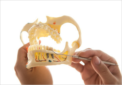インプラントと顎骨イメージ
